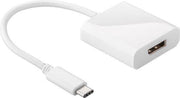Allteq - USB C naar DisplayPort adapter - 0.2 meter