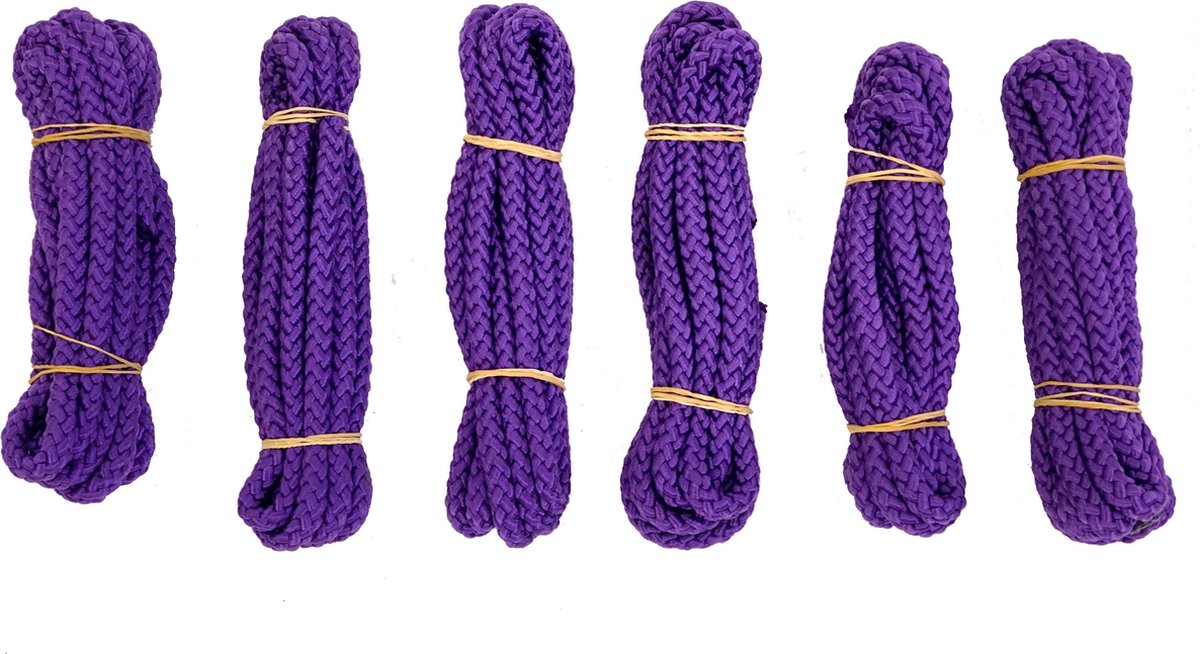 Springtouw | Springtouwen | Jumprope |Paars| 3 meter | Set 6 stuks | Springtouwtjes