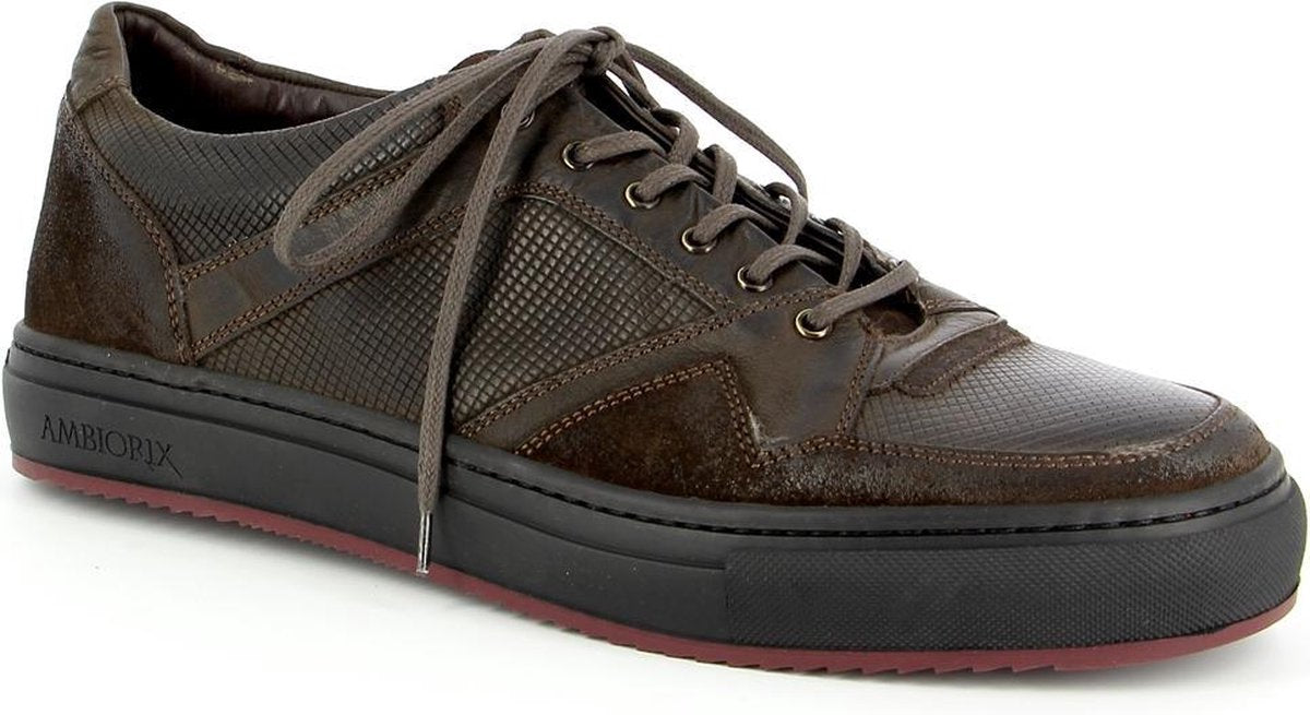 Ambiorix Brindisi 1 Bruin 41
