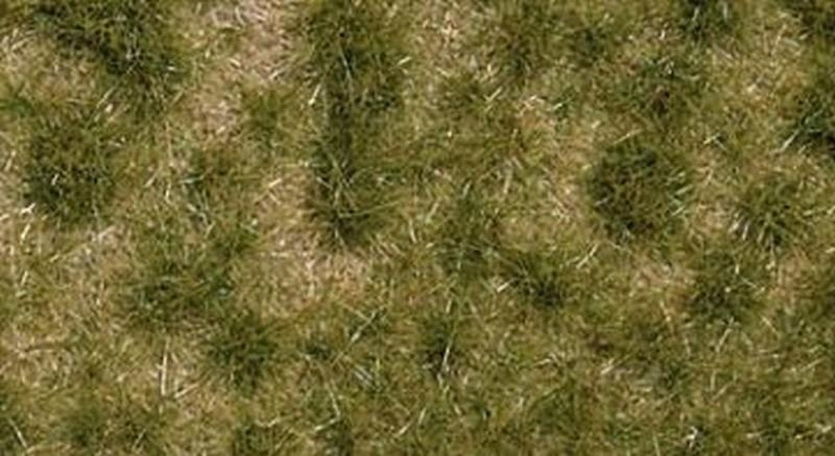 Busch - Grasbuschel Zweifarbig Lang Fruling 6 Mm - BU3536 - modelbouwsets