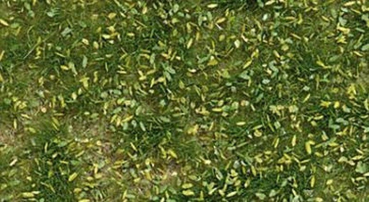 Busch - Unkrautbuschel Fruling 4 Mm - BU3541 - modelbouwsets