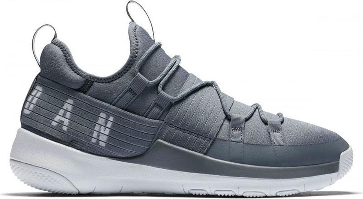 Jordan Trainer Pro Grijs Schoenmaat EU : 40