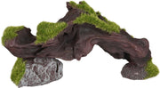 Flamingo Aquarium Kozma stronk+mos decoratie - Groen - 17 x 4 x 8 cm