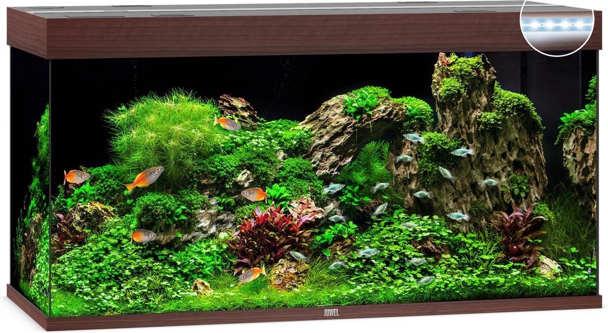 Juwel Aquarium Rio 350 Led 121x51x66 cm - Aquaria - Donker Hout