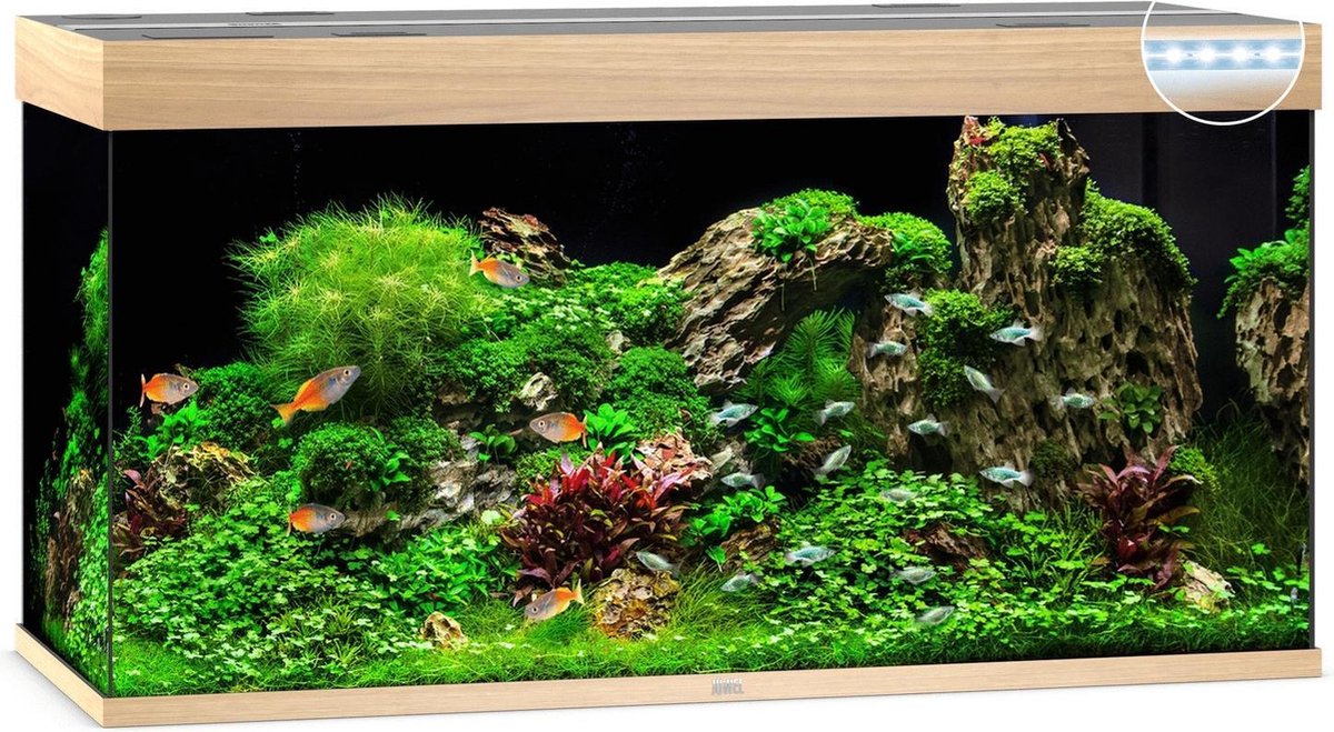 Juwel Aquarium Rio 350 Led 121x51x66 cm - Aquaria - Licht Hout
