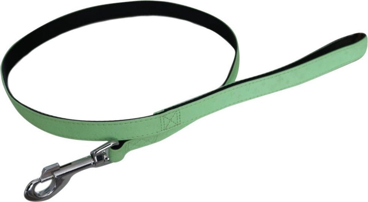 Ploeg Looplijn Artleder 15mm Appelgroen 100x1.5 cm