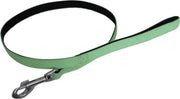 Ploeg Looplijn Artleder 15mm Appelgroen 100x1.5 cm