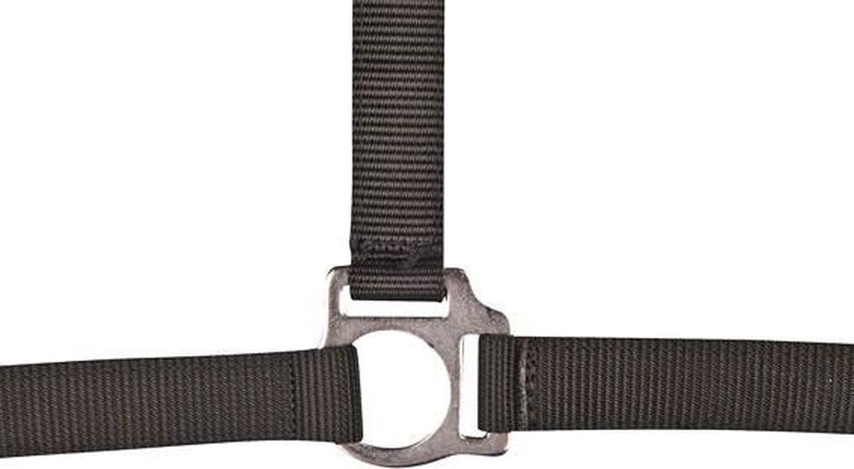 Halster -Stars Economy- zwart Full