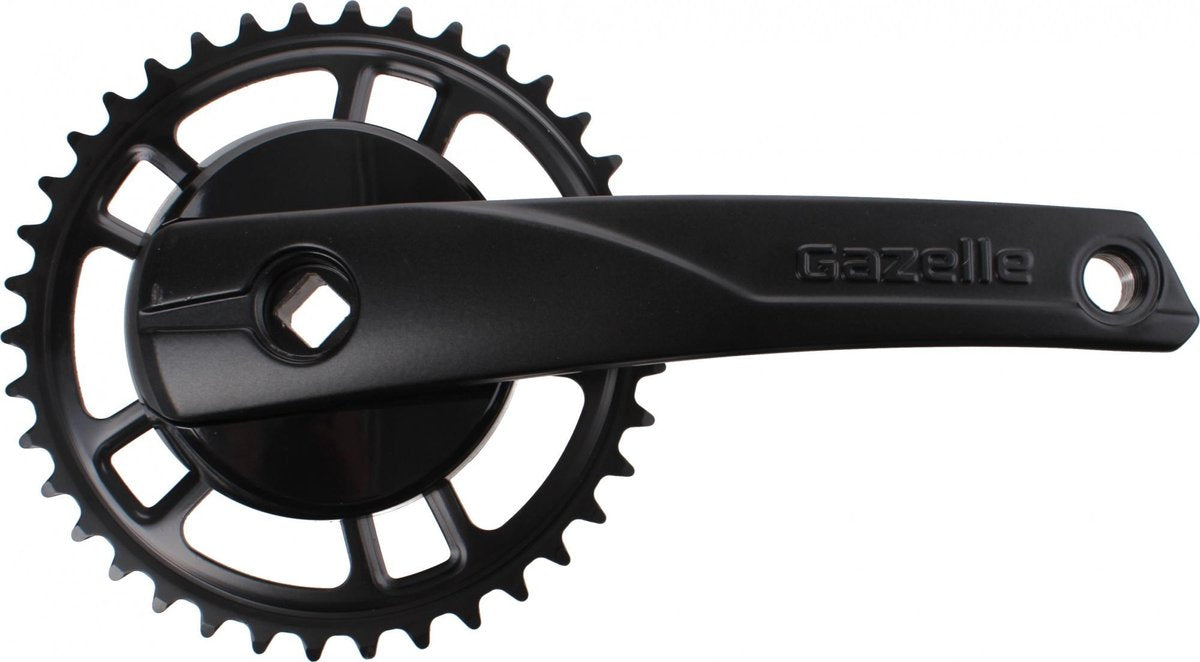 Crankstel Gazelle Strixvaria 38 tands - zwart