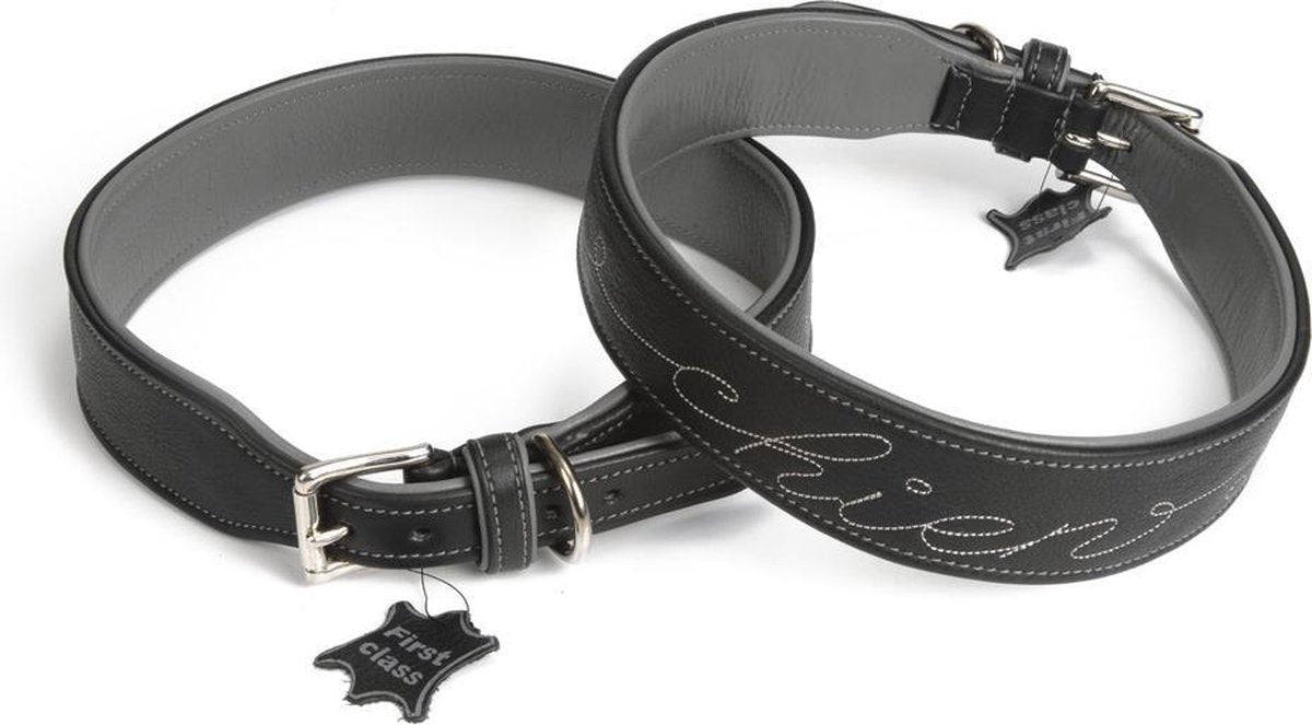 Beeztees Chien - Hondenhalsband - Zwart - 68-76 cm x 45 mm