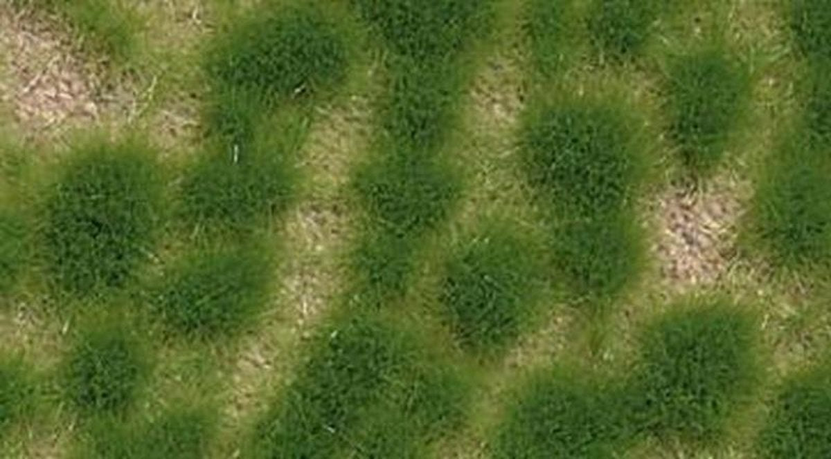 Busch - Grasbuschel Lang Fruling 4 Mm - BU3516 - modelbouwsets