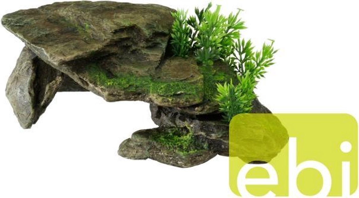 Steen begroeid met plantjes