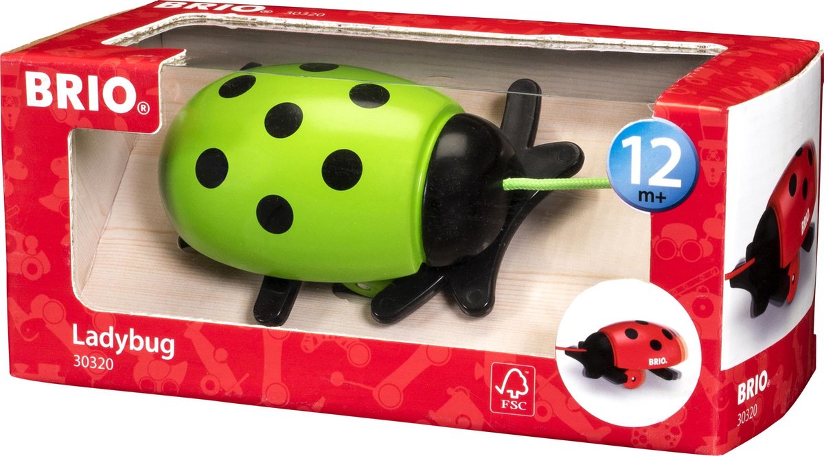 Display Ladybug 4pcs - 3 colors ass