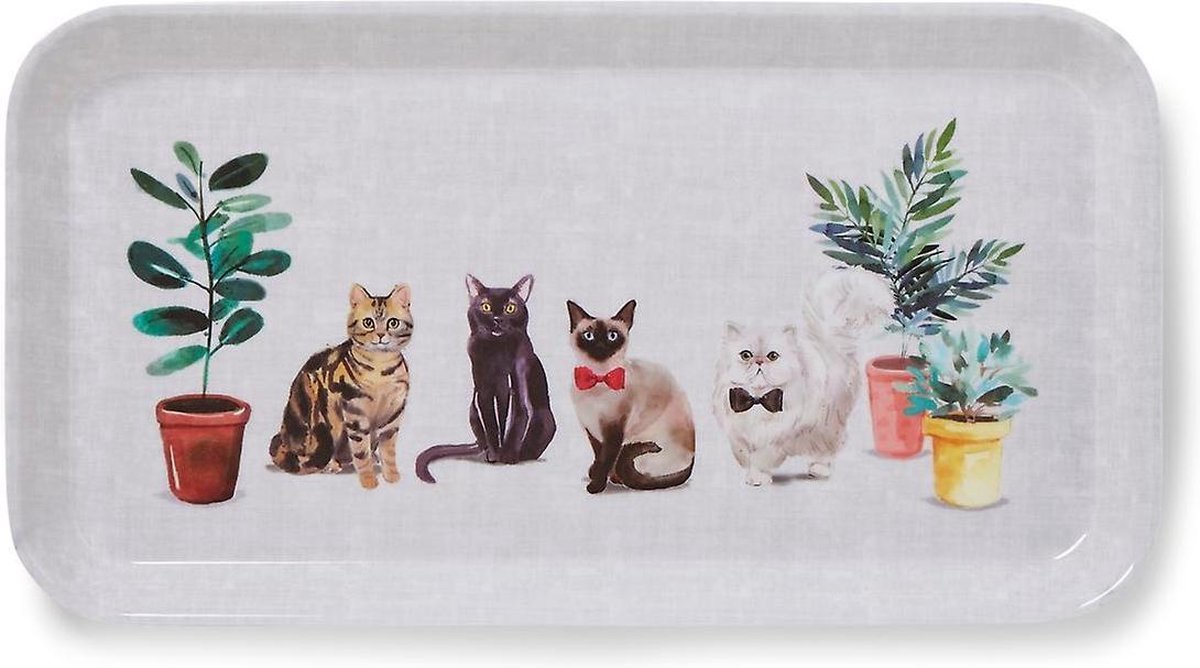 Dienblad smal Curious Cats