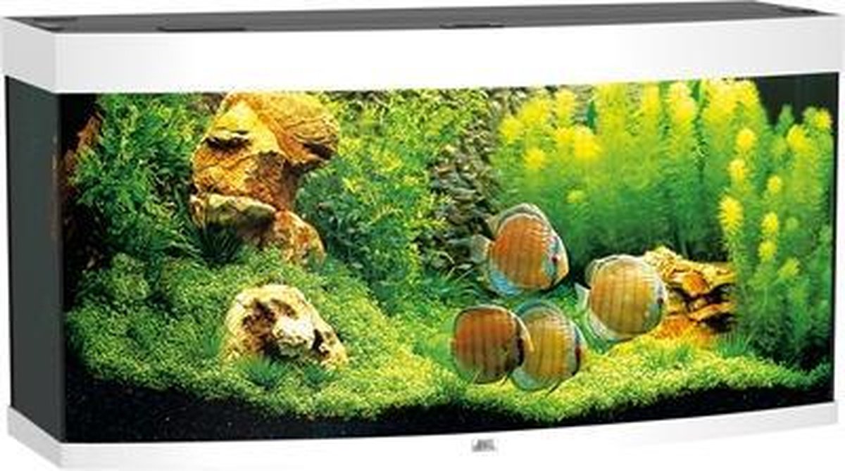 Juwel Vision Aquarium - 121x62x46 cm - 260L - Wit