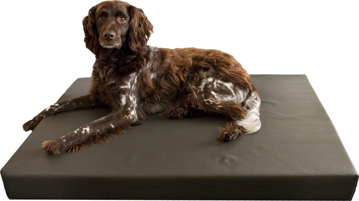 Hd Orthopedisch Honden Ligbed Grijs 100X75 CM