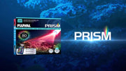 FL LED PRISM