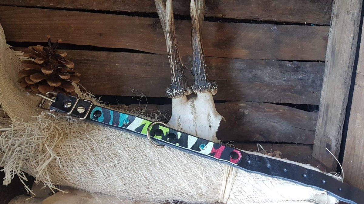 MRL Zwarte halsband Regenboog 2 cm. L2