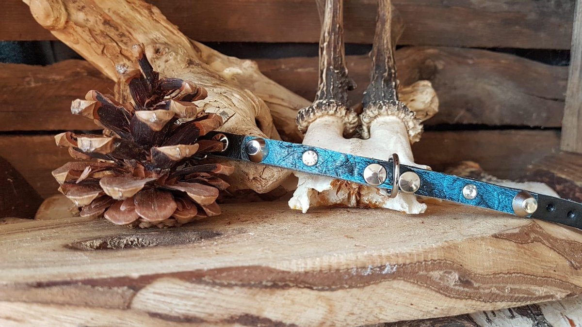 MRL Zwarte halsband met blauw / zwarte opzet 1cm. L4