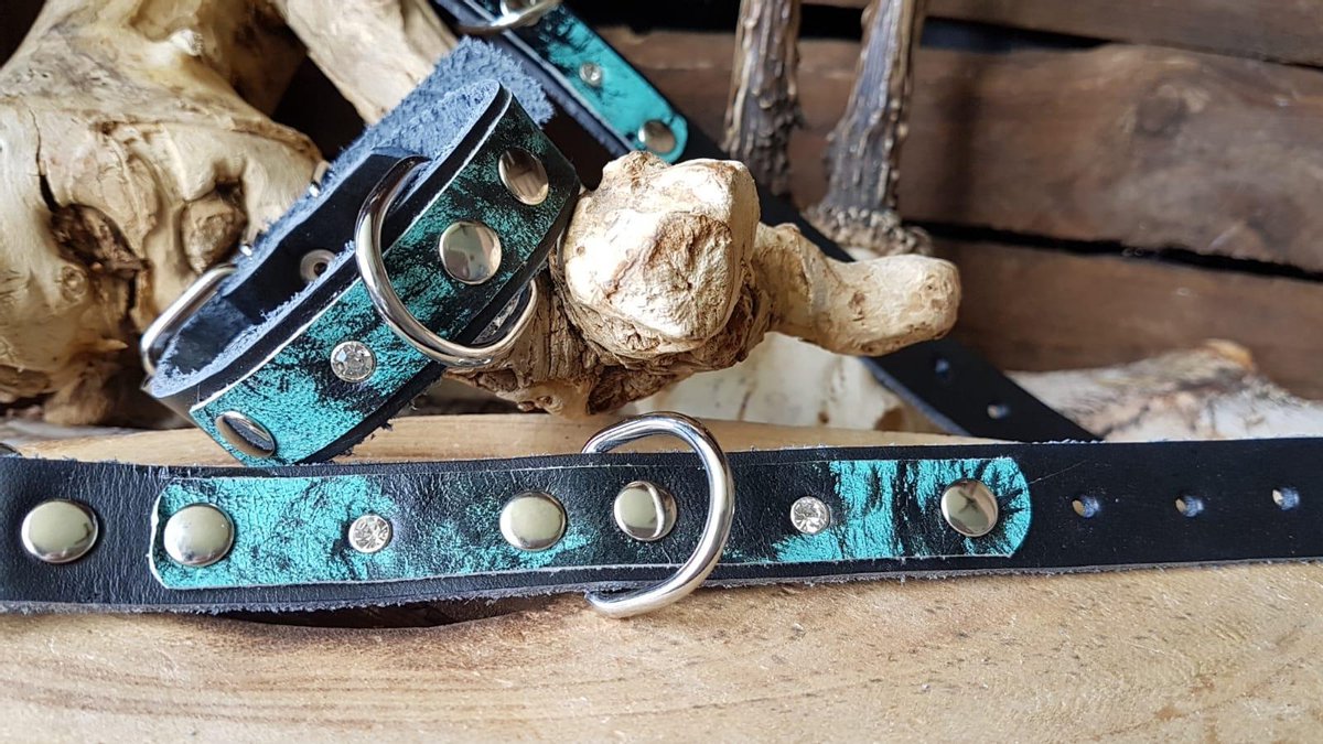 MRL Zwarte halsband met mint / zwarte opzet 2 cm. L2
