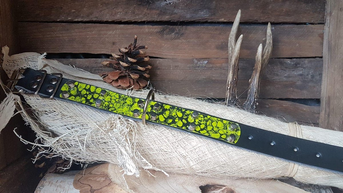 MRL Zwarte halsband met geel / zwarte opzet 3 cm. L4