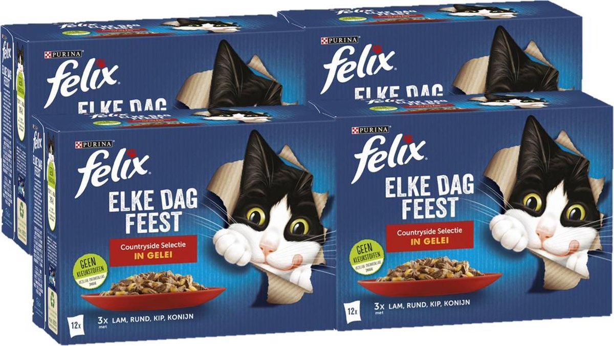 Felix Elke Dag Feest Countryside - Kattenvoer - 48 x 85g
