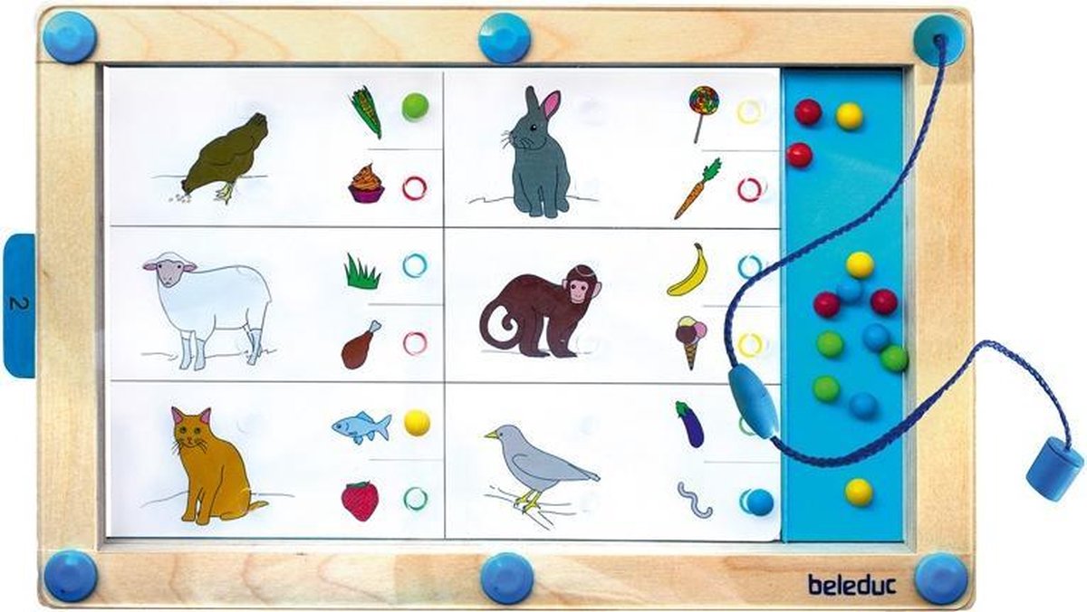 Beleduc Magneetspel Logiplay 19-delig
