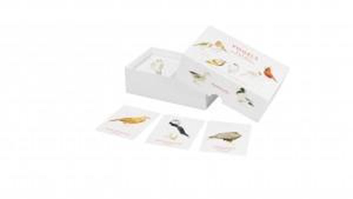 Vogels – een memospel