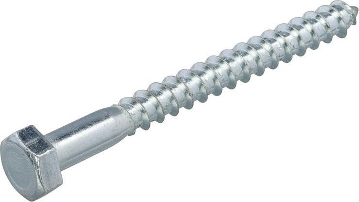 Hoenderdaal houtdraadbout verzinkt SW-10 zeskantkop 6 x 55 mm 200 stuks