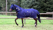 PFIFF Fliegendecke mit Print blau 165cm