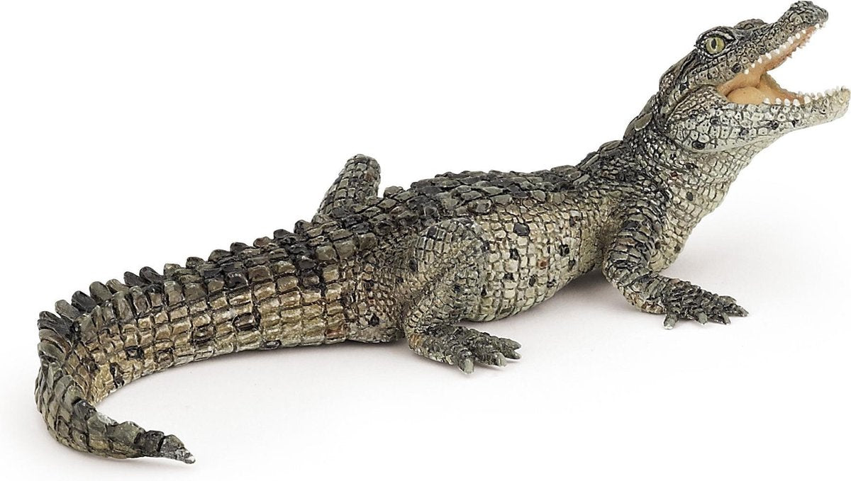 Papo baby Krokodil