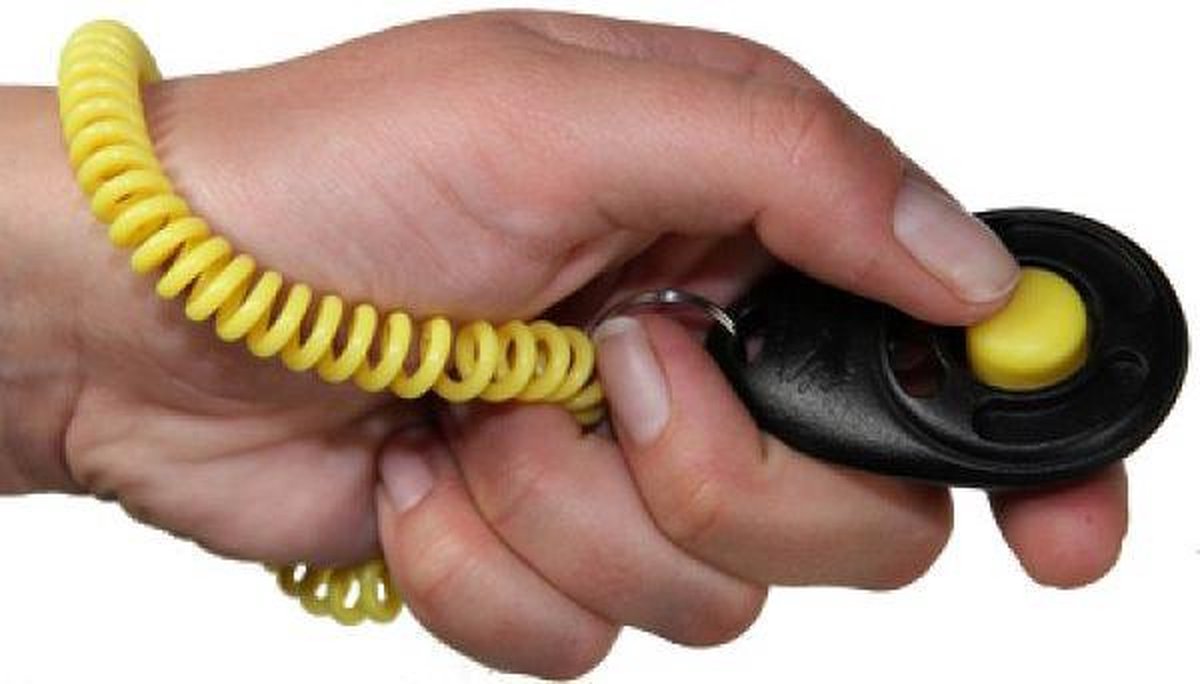Starmark Clicker De Luxe - Hondentraining 6X4 CM