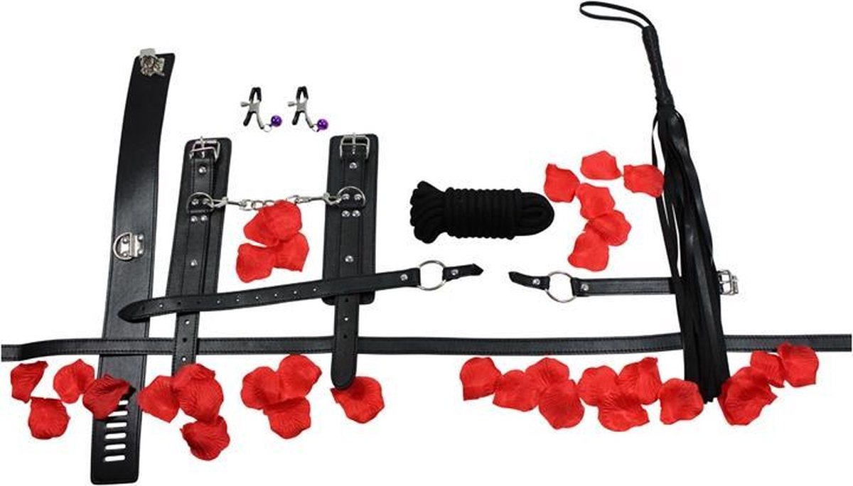 BDSM Starter Kit
