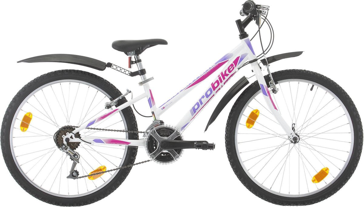 Sprint Probike Adventure- Mountainbike-Damesfiets -24 inch-BK19PB0140 r3