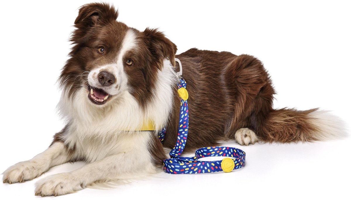 NORVEGIAN HARNESS L | Color Invaders