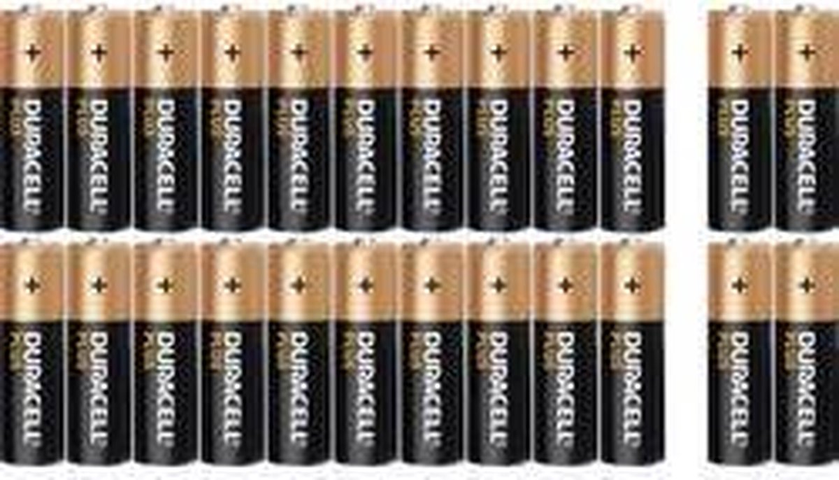 Duracell AA Batterijen