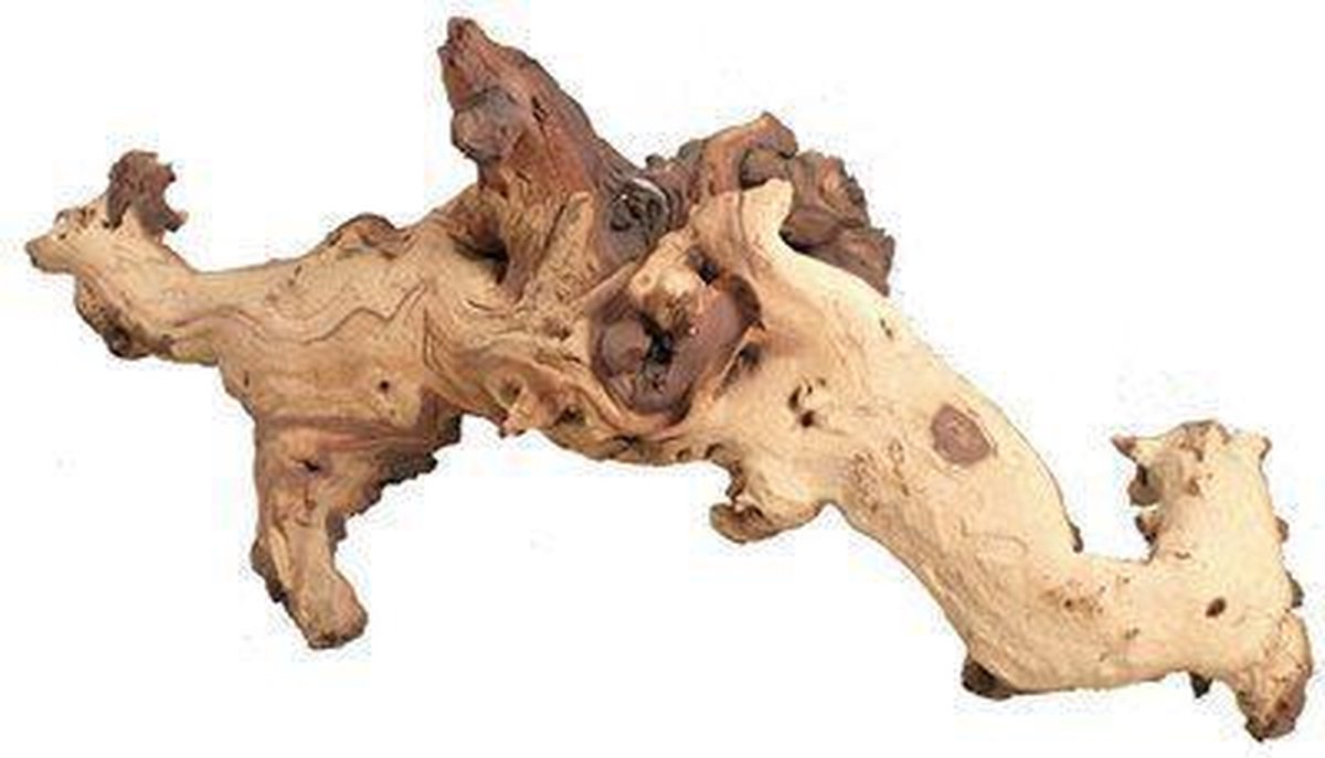 Mopani hout small