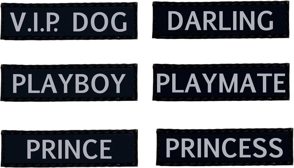 Teeny weeny slogan set for mini harness boy