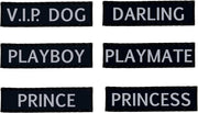 Teeny weeny slogan set for mini harness boy