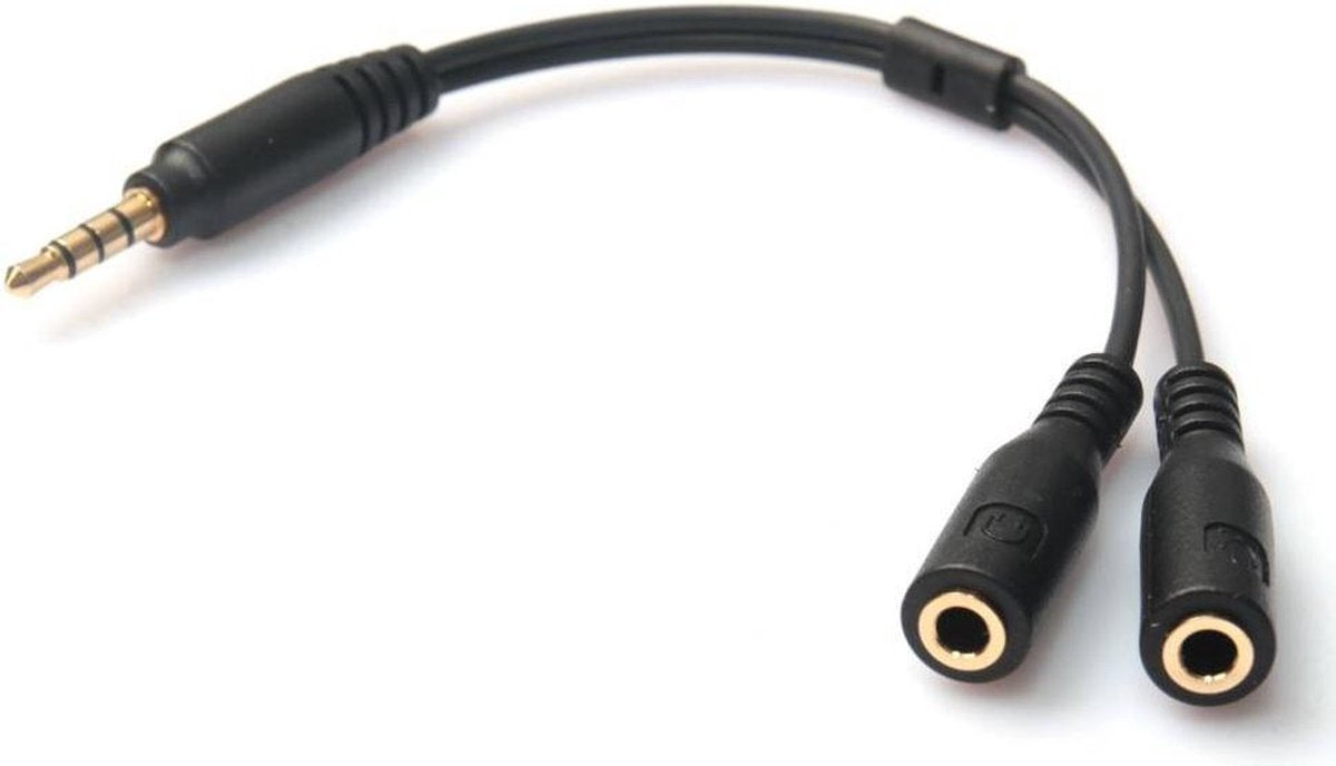 Male to 2 female Stereo Aux kabeltje