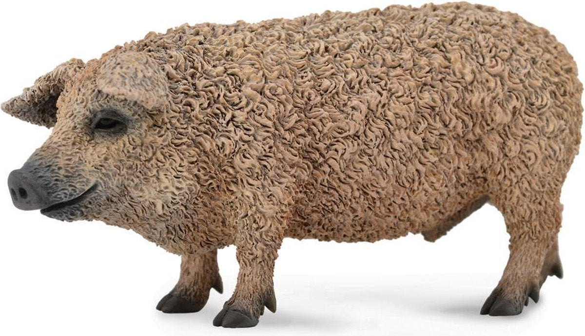 Collecta Boerderijdieren (M): WOLVARKEN 9.5x4.8cm