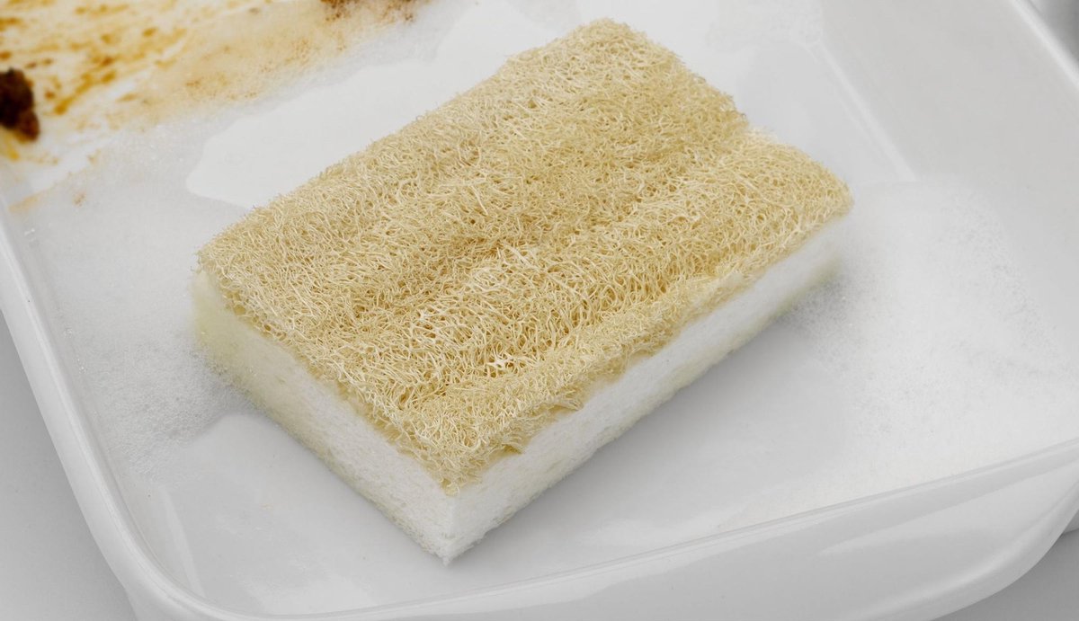 2 stuks Loofah cellulose afwasspons - Natuurlijk spons - Afwasspons - Biologisch afbreekbaar - Ecologisch