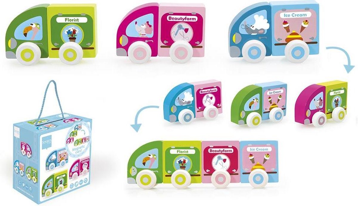 Scratch Set Auto's Hout 6-delig Magnetisch Bloem/ijs/salon