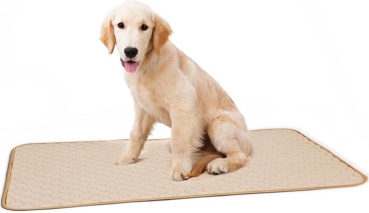 Wasbare plasmat als trainingskussen voor uw huisdier - SMALL - BEIGE