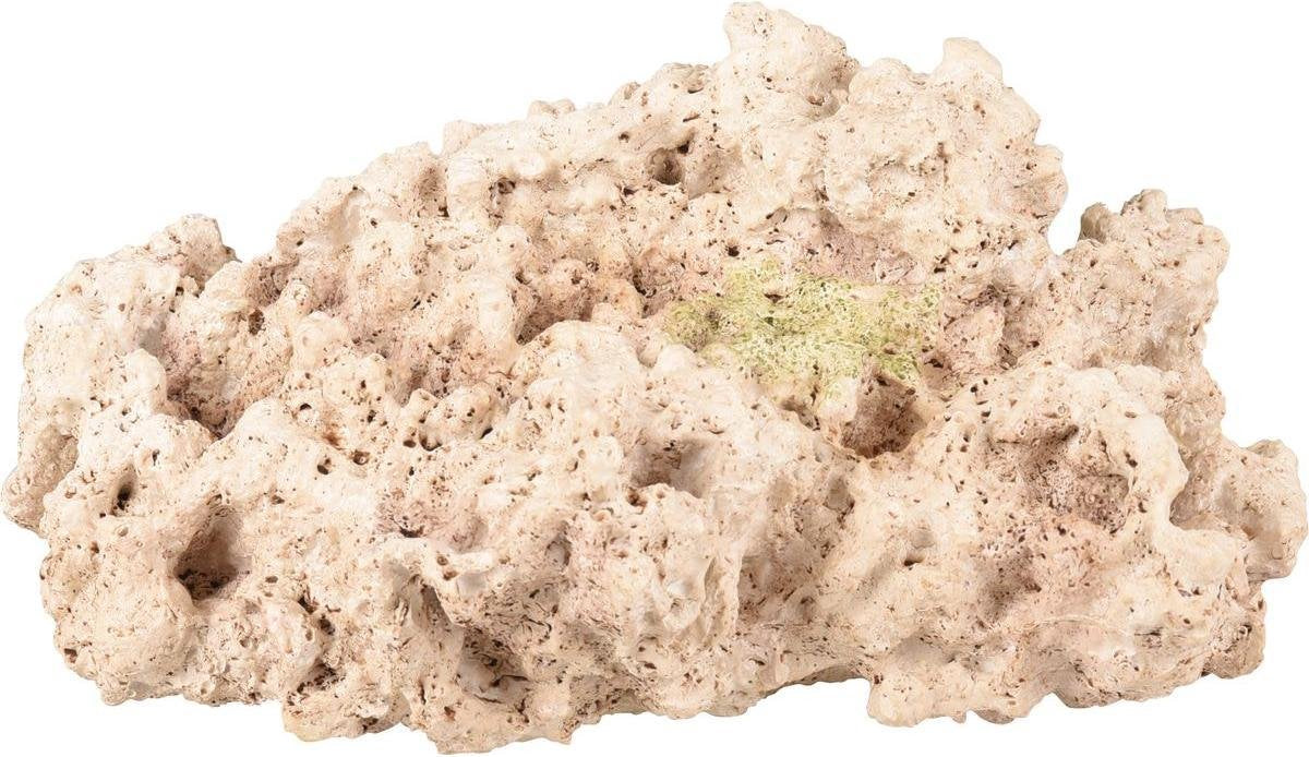 Aquarium Rocco Koraal Beige - Beige - 24 x 20 x 11 cm
