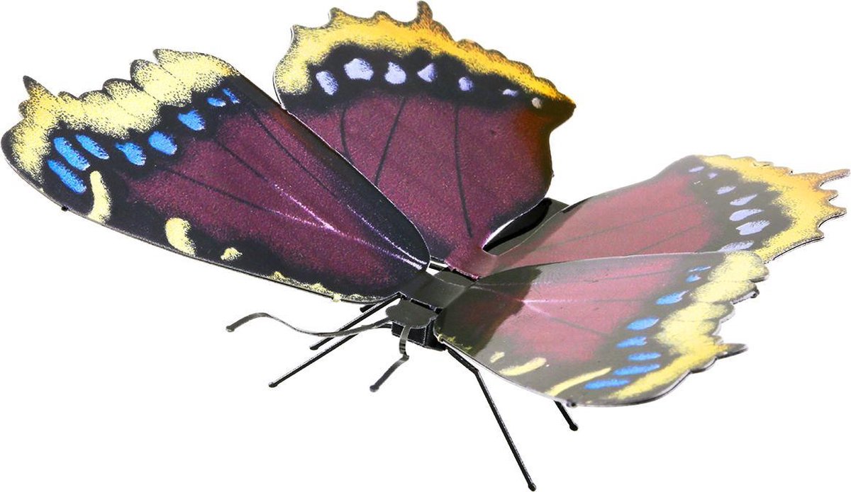 Fascinations Mourning Cloak