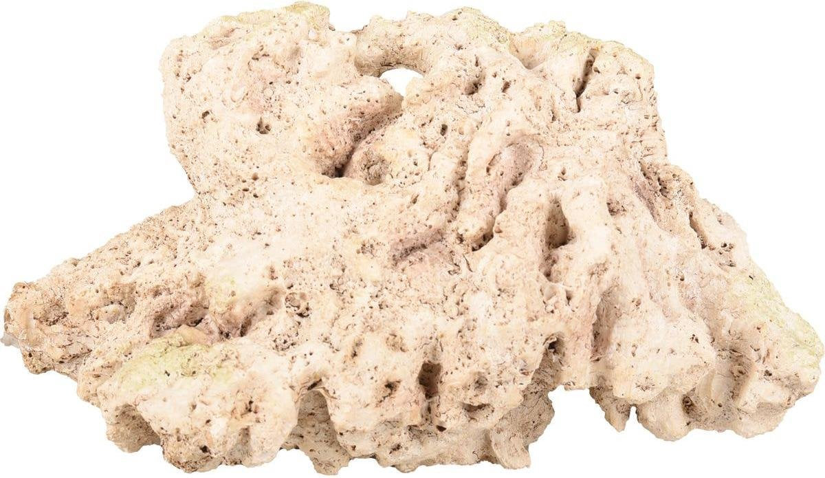 Aquarium Rocco koraal beige - Beige - 18 x 13.5 x 9.5 cm