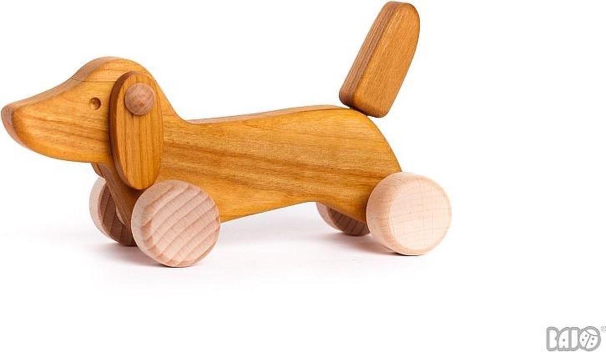 Bajo Dachshund puppy