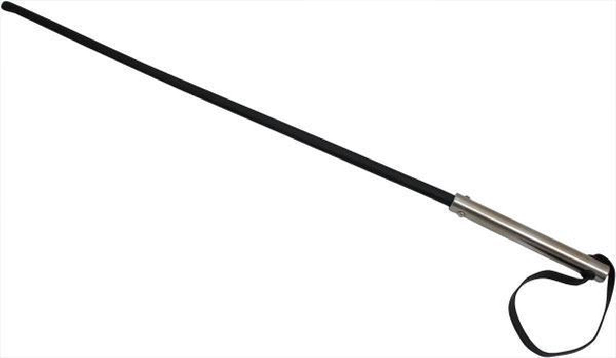 The Leathermans' Cane