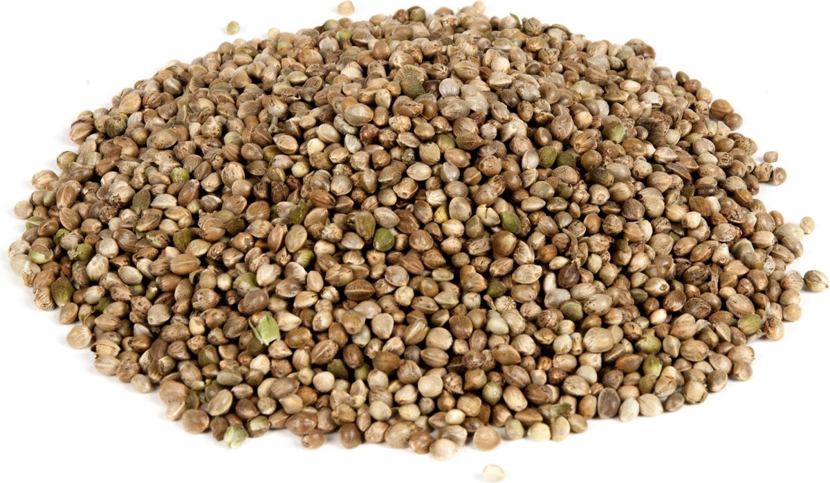 Evezet Hennepzaad - 20kg